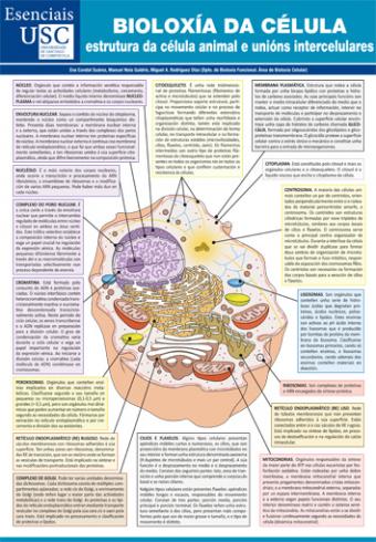 Cuberta para Bioloxía da célula: estrutura da célula animal e unións intercelulares