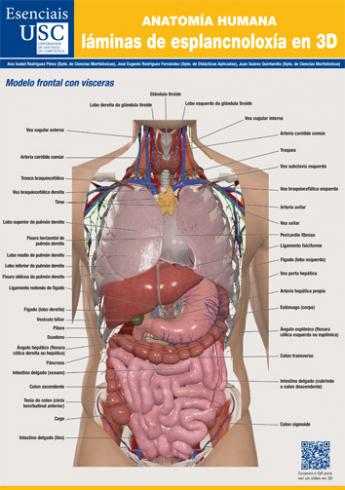 Cuberta para Anatomía humana: láminas de esplancnoloxía en 3D