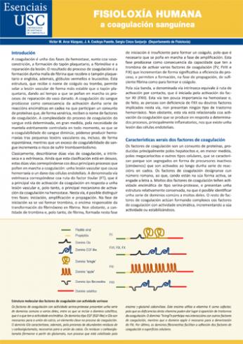Cuberta para Fisioloxía humana: a coagulación sanguínea