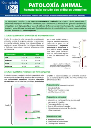 Cuberta para Patoloxía animal: hematoloxía. Estudo dos glóbulos vermellos